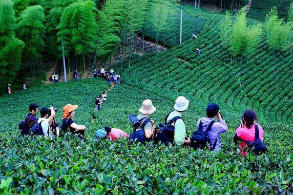 乡村体验式旅游