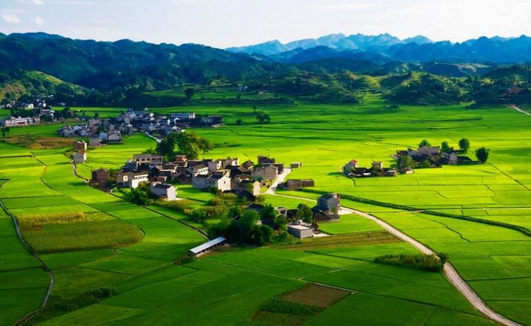 乡村旅游规划设计